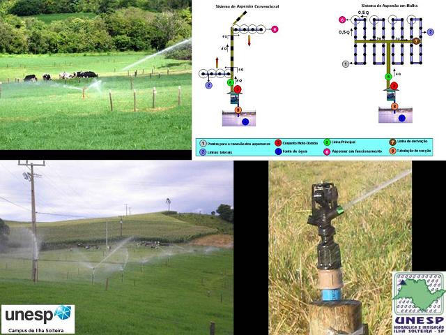 fernandopolis_25abr2012 (33).JPG